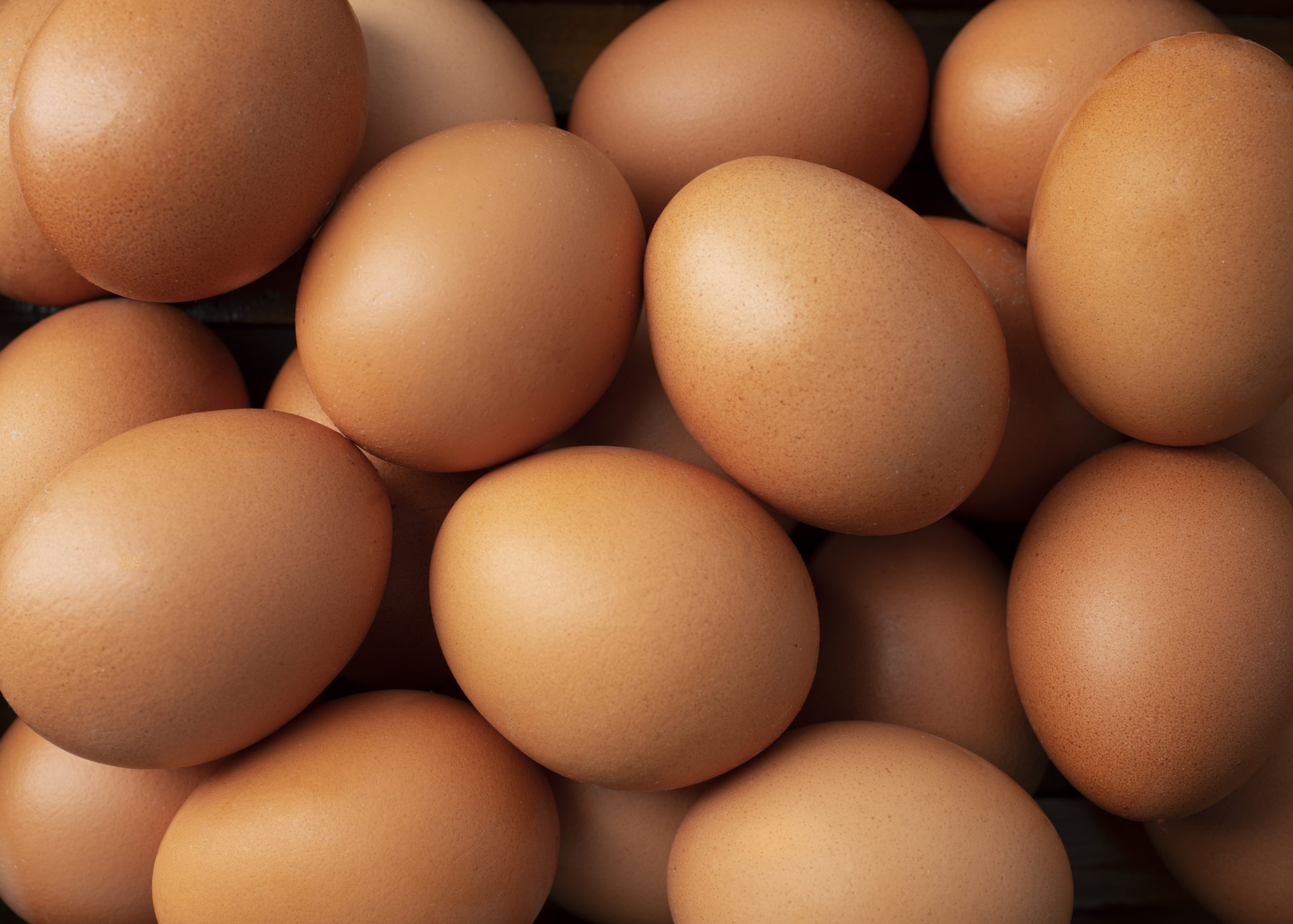Eggs Brown - Pack of 25. Antibiotic Residue Free