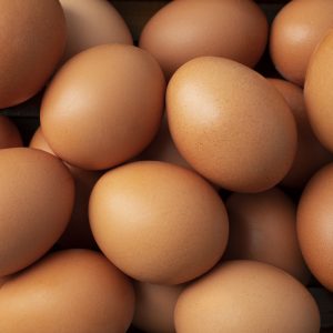 Brown Eggs Eggzotik